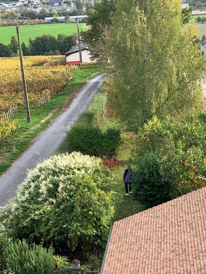 Villa L'Insouciance En Champagne Vincelles  Exterior foto